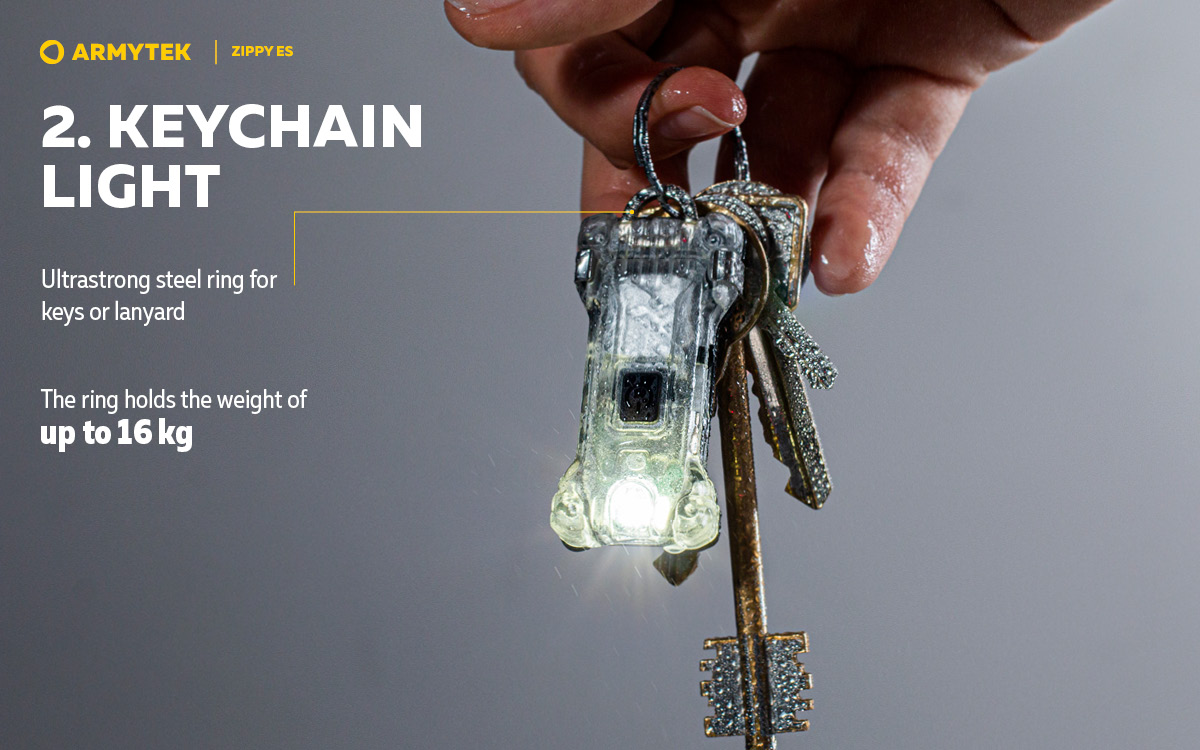 Slides Zippy ES_en3_01